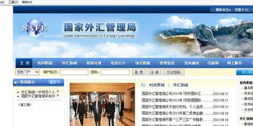 外匯管理局官方匯率查詢(xún)指南與專(zhuān)業(yè)咨詢(xún)建議