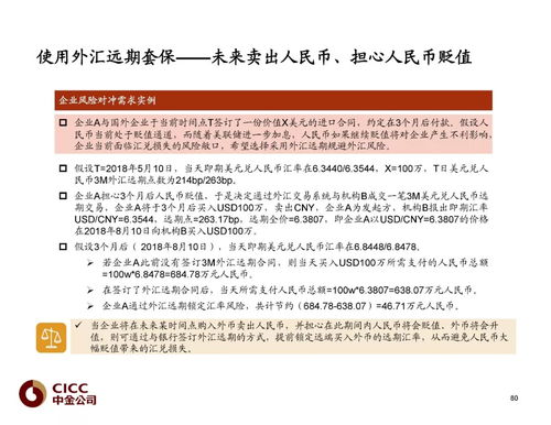 2018中金債市寶典 外匯及外匯衍生品市場(chǎng)深度解析與策略咨詢(xún)