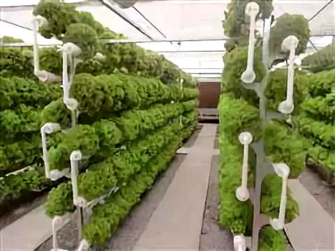 彩虹故鄉，又踏層峰望眼開 互助縣經濟社會發展紀實中的農業種植技術開發
